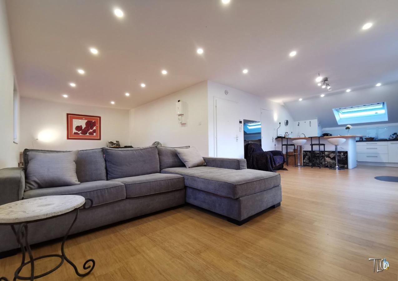 "Le Loft B Bg " Appartement Avec Terrasse G Friendly Strasbourg Bagian luar foto