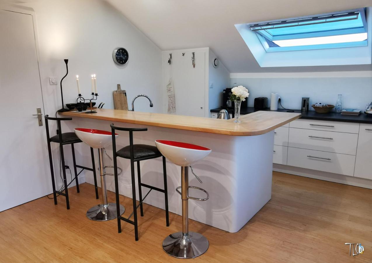 "Le Loft B Bg " Appartement Avec Terrasse G Friendly Strasbourg Bagian luar foto